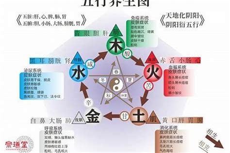 五行缺水缺木|八字缺木、缺水，如何改善？？